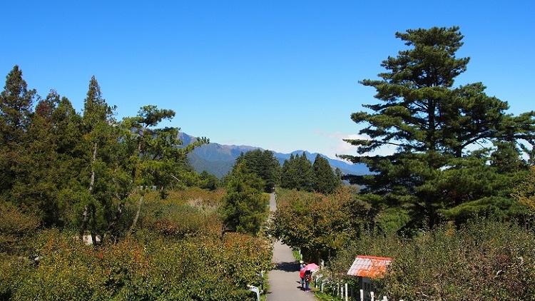 福壽山農場