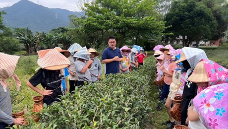 食茶教育