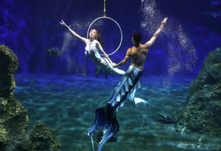 花蓮,壽豐,遠雄,海洋公園,海獅,美人魚,樂園,海生館