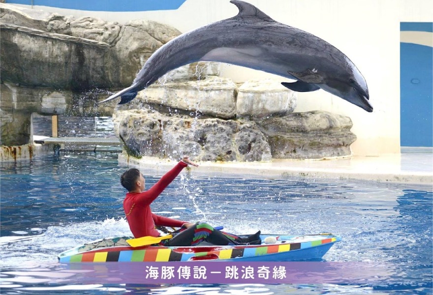 花蓮,壽豐,遠雄,海洋公園,海獅,美人魚,樂園,海生館