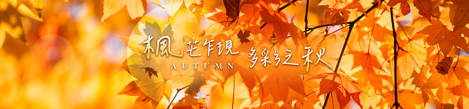 行程特色圖片