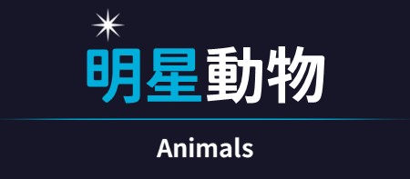 行程特色圖片