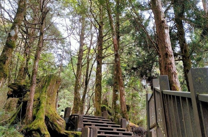 太平山森林遊樂區