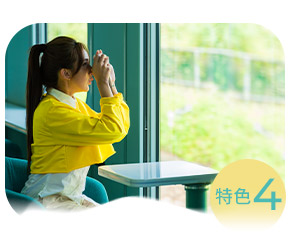 雄獅,海風號,甜點列車