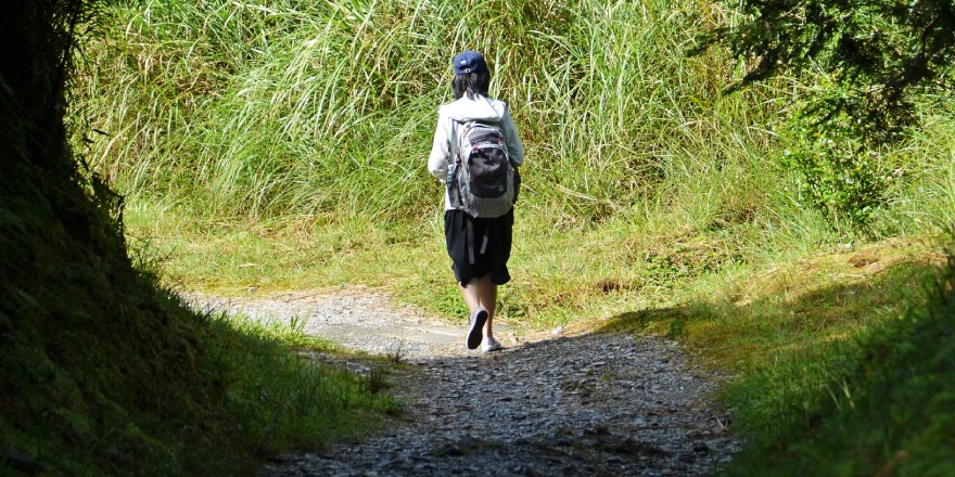 宜蘭,大同,太平山,森林,翠峰湖,寂靜山徑