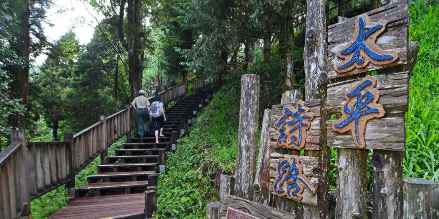 宜蘭,大同,太平山,森林,檜木,步道