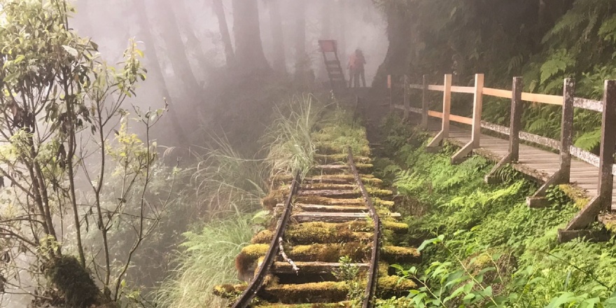 宜蘭,大同,太平山,森林,見晴,見晴懷古步道,步道