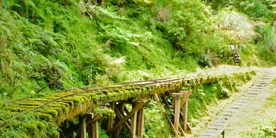 宜蘭,大同,太平山,森林,見晴,見晴懷古步道,步道
