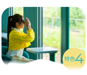 雄獅,海風號,甜點列車