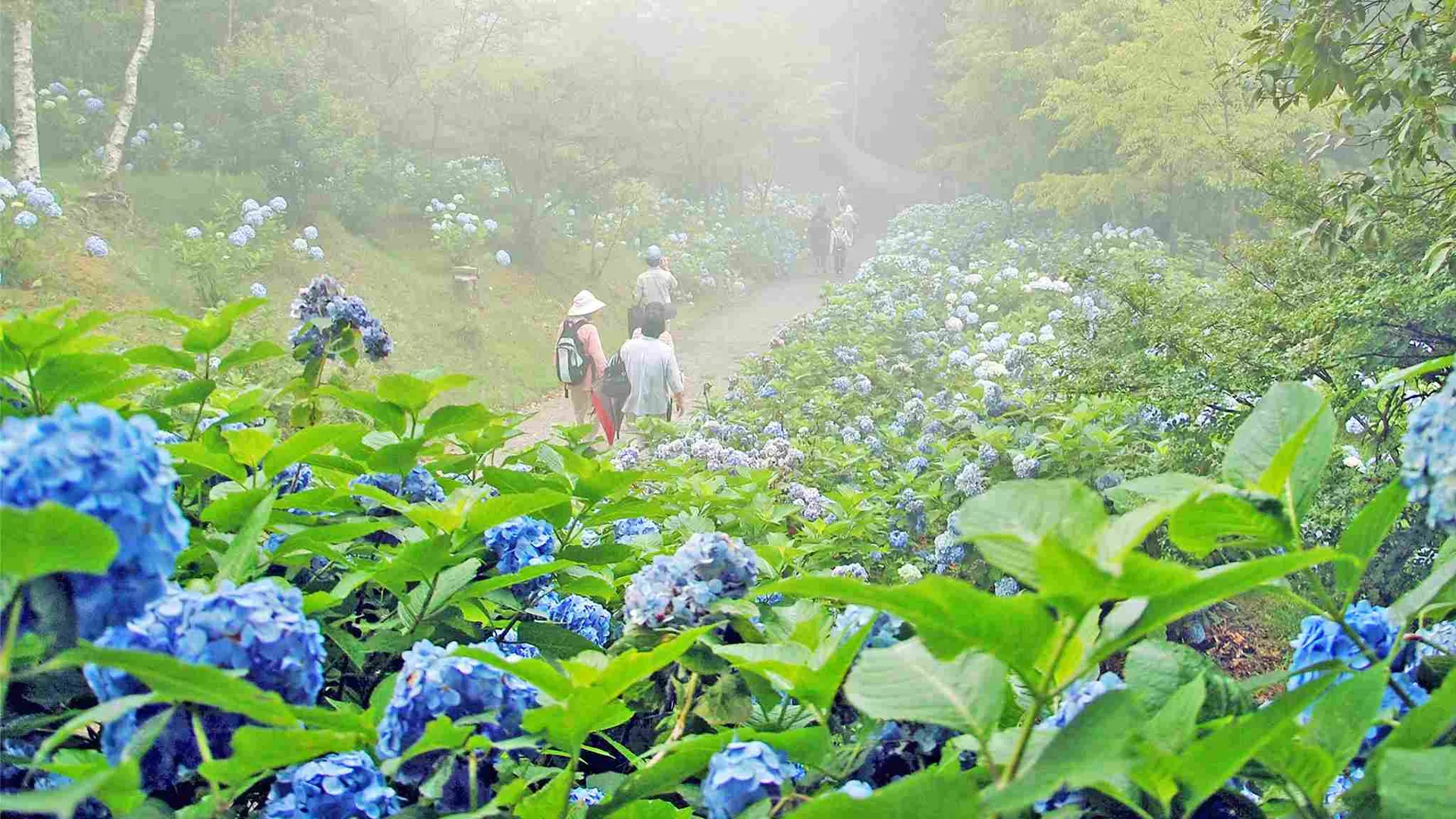 行程特色圖片