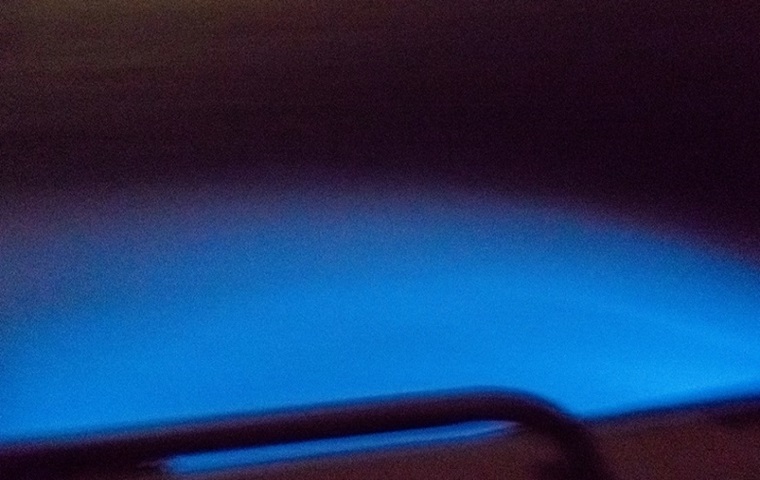 行程特色圖片
