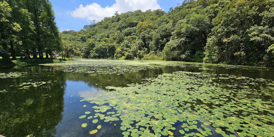 宜蘭,員山,福山,福山植物園,生態,自然,植物