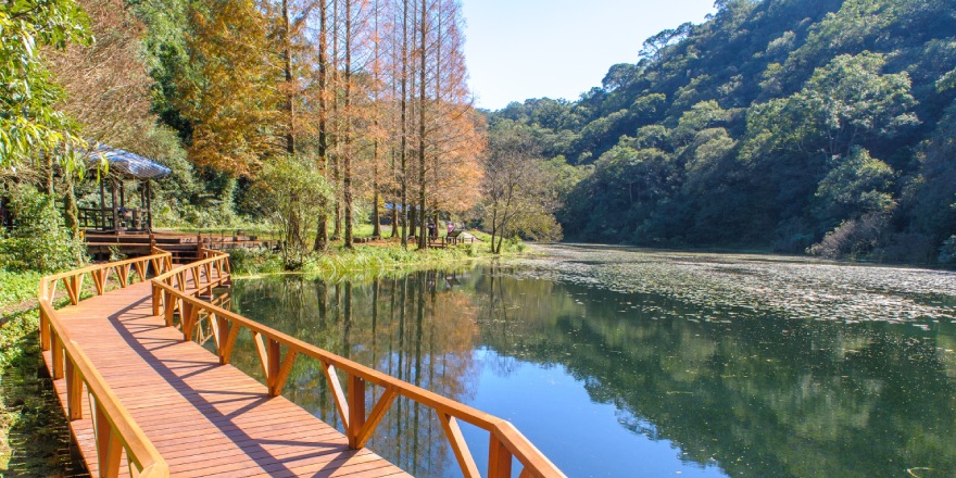 宜蘭,員山,福山,福山植物園,生態,自然,植物
