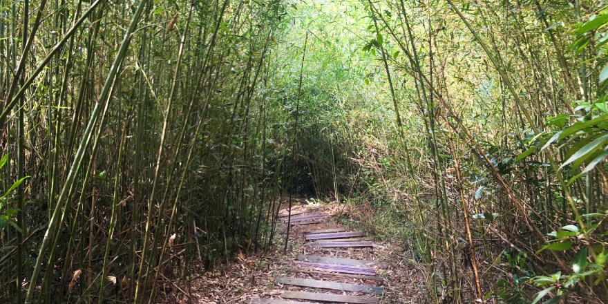 宜蘭,南澳,朝陽,朝陽社區,朝陽國家步道,烏石鼻,神秘海灣,秘境