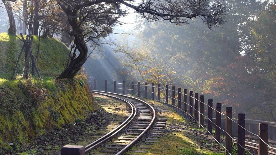 阿里山國家森林遊樂區