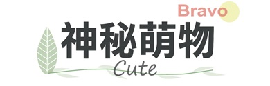 行程特色圖片
