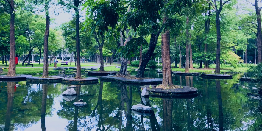 高雄,鳳山,大東濕地公園,忘憂森林,大東文化藝術中心