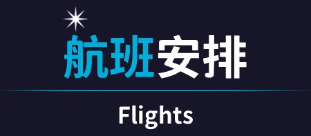 fly