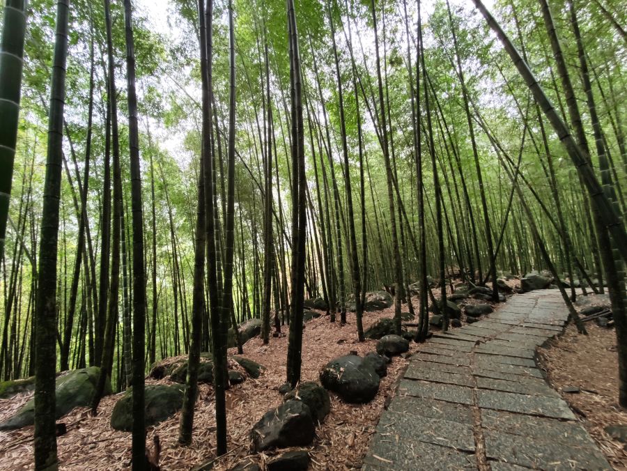 集集