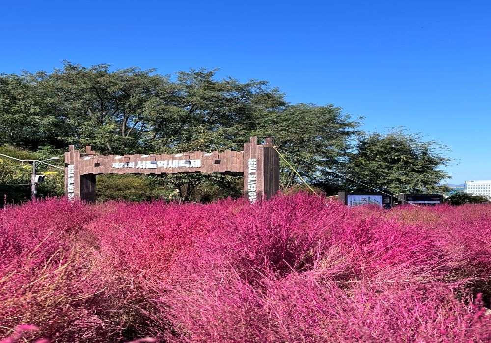 首爾天空公園