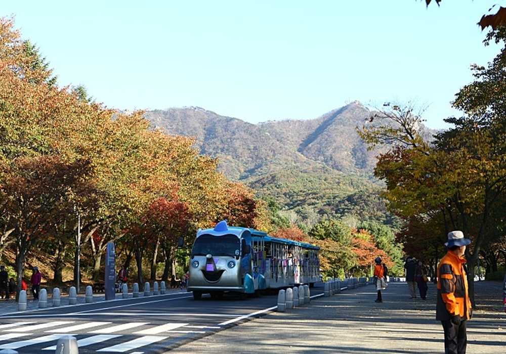 首爾大公園