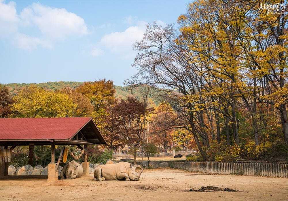 首爾大公園