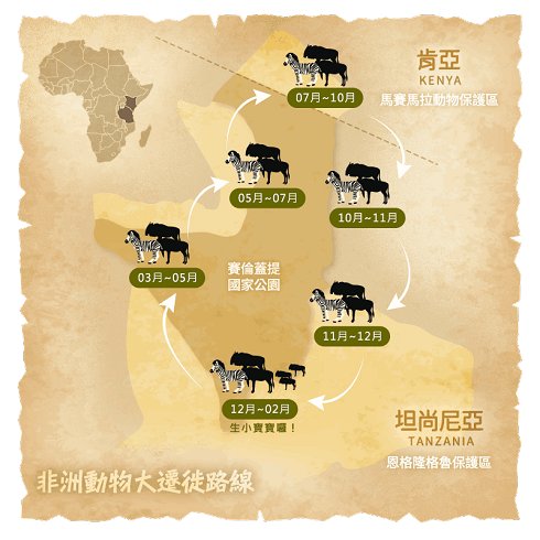 動物大遷徙-圖