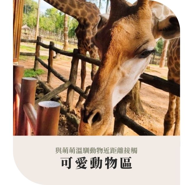 行程特色圖片