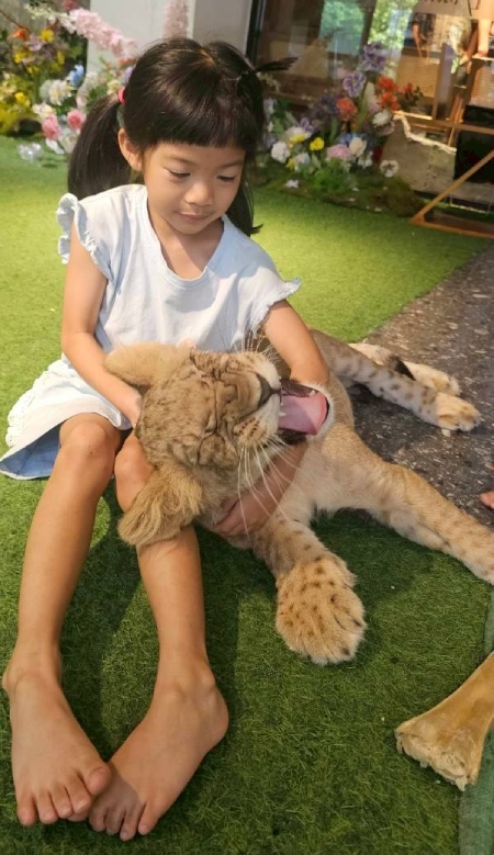 行程特色圖片