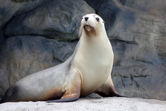 Taronga Zoo