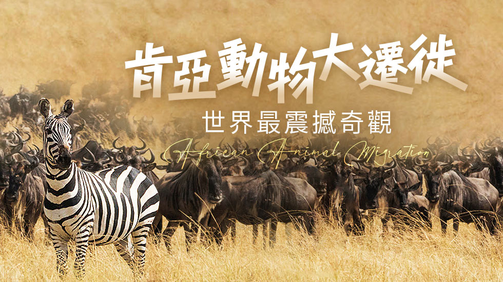 雄獅