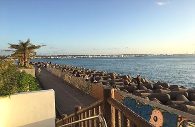 海情海