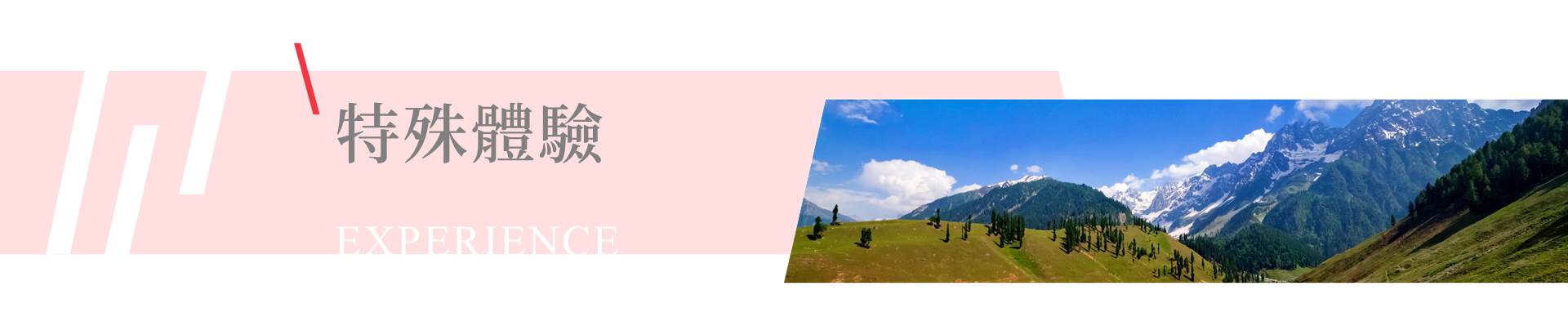 特殊體驗