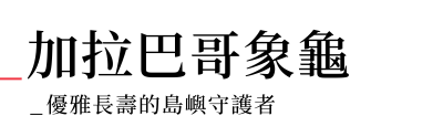 行程特色圖片
