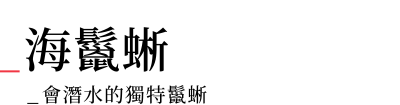 行程特色圖片