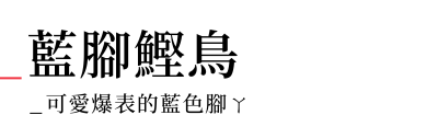 行程特色圖片