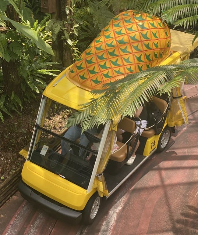 行程特色圖片