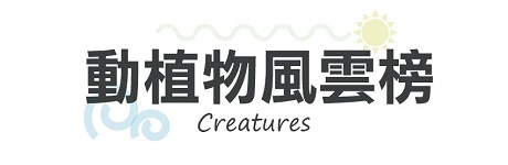 行程特色圖片