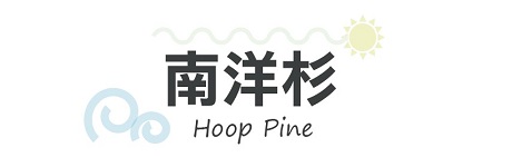 行程特色圖片