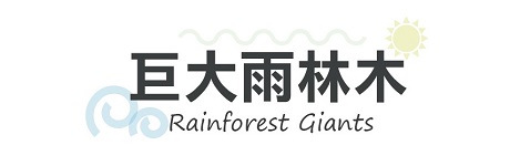 行程特色圖片