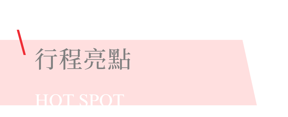 雄獅中南美