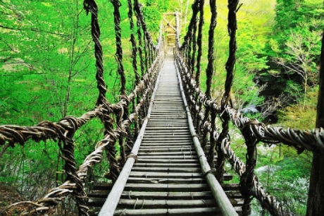 祖谷葛藤橋