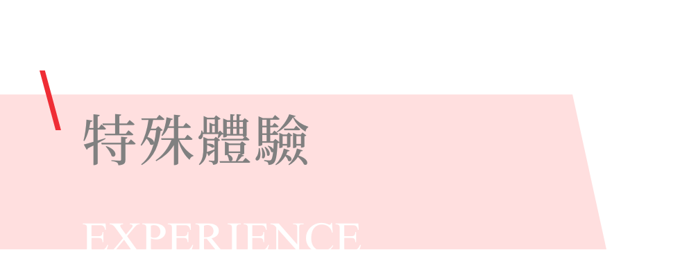 巴西嘉年華