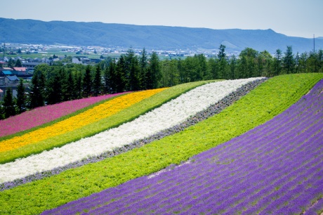 北海道