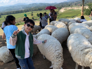 行程特色圖片