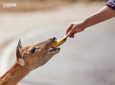 行程特色圖片