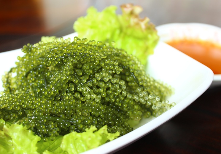 行程特色圖片