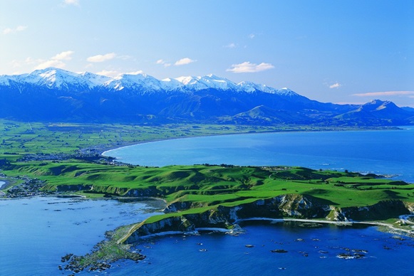 Whale Watch Kaikoura