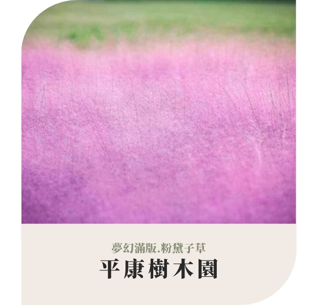 行程特色圖片