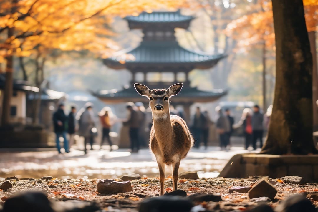 行程特色圖片